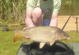 Stunning Carp.png 10