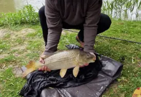 5 Star fishing review.png 82