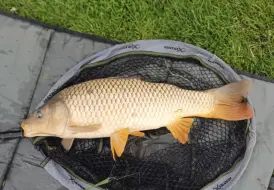 June Fishing Holiday.png 16