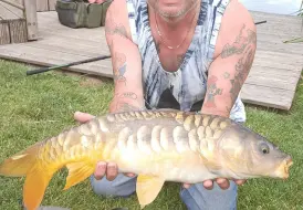 Catch of the week.png 2
