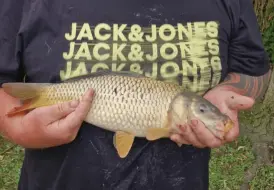 Lakeside fishing lodges.png 106