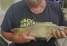 Lakeside fishing retreat.png 1