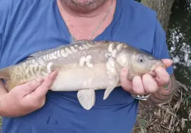 Returning guests fishing.png 3