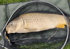 UK Fishing break.png 5