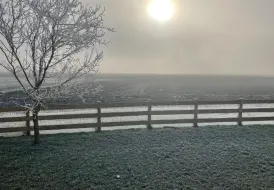 Dog Friendly Winter Breaks.jpg 13