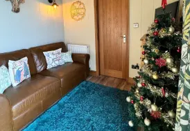 Pet Friendly Christmas Lodge.jpg 16