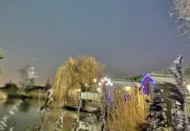 Frosty Winter Evening.jpg 28